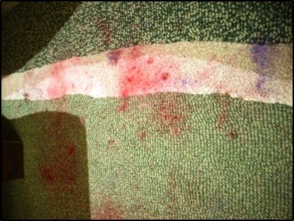 Red oil paint on the NP-coated carpet